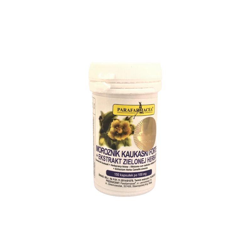 MOROZNIK KAUKASKI Z ZIELONĄ HERBATĄ FORTE150 KAPSUŁEK